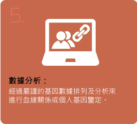 5. 数据分析：经过严谨的基因数据排列及分析来进行血缘关系或个人基因鉴定。